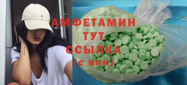 ALPHA PVP Ельня