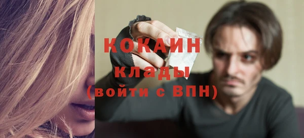 стафф Заводоуковск