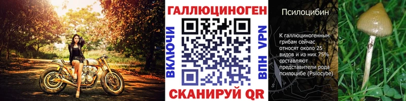 Псилоцибиновые грибы мицелий  где купить наркоту  Сретенск 